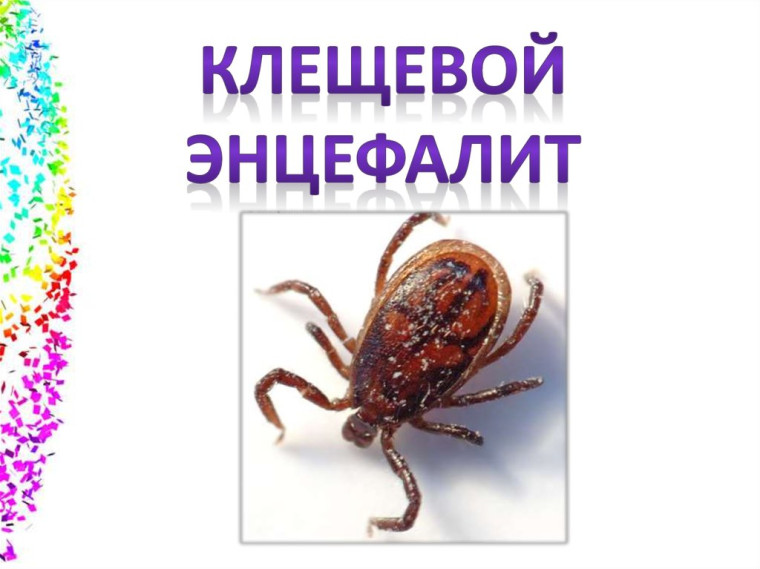 О проведении Всероссийской «горячей линии» по профилактике клещевого энцефалита.